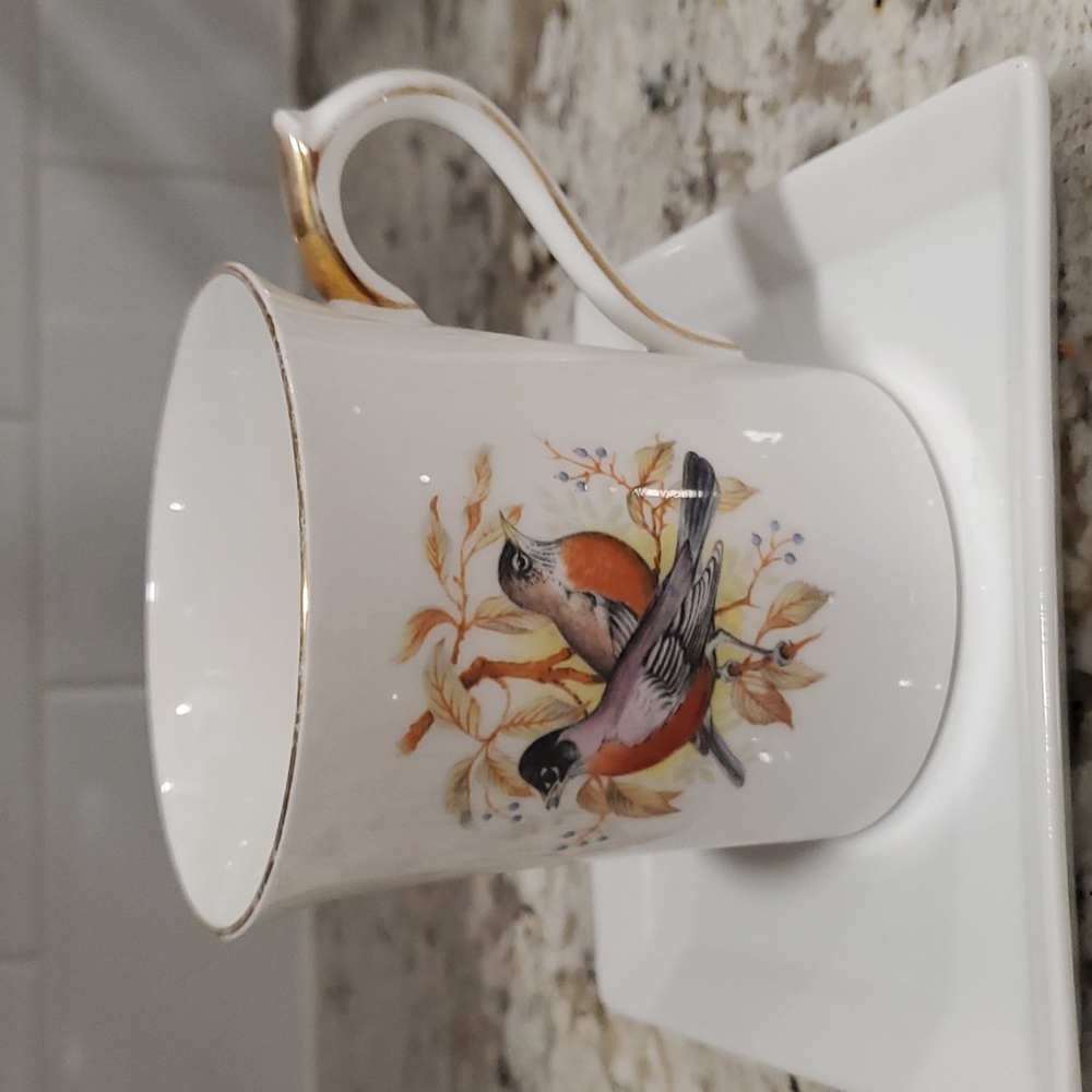 Queens fine bone china Birds of America mug